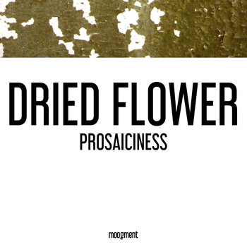Dried Flower - Prosaiciness