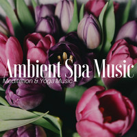 Tranquility Experts - Ambient Spa Music: Meditation & Yoga Music, Serenity Relaxing Music for Massage, Reiki & Zen Flutes