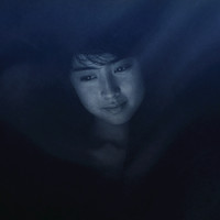 fdsdf - Luminous Path