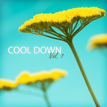 Various Artists - Cool Down, Vol. 1