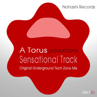 A Torus, Toru S. - Sensational Track (Underground Tech Zone Mix)