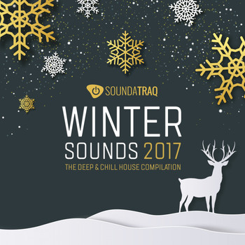 Various Artists - Winter Sounds 2017