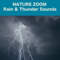 Nature Zoom - Rain & Thunder Sounds
