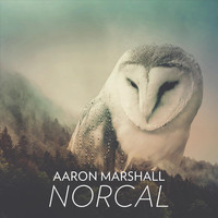 Aaron Marshall - Norcal