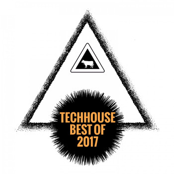 Various Artists - Techhouse Best of 2017