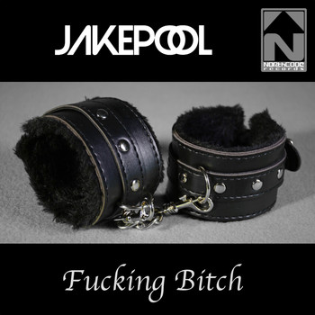 Jakepool - Fucking Bitch (Explicit)