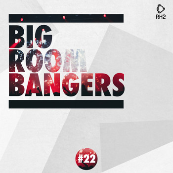 Various Artists - Big Room Bangers, Vol. 22