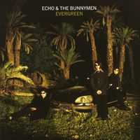 Echo & The Bunnymen - Evergreen (Expanded)