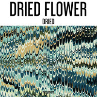 Dried Flower - Dried