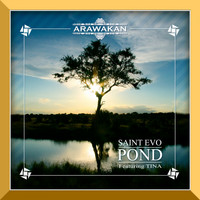 Saint Evo - Pond