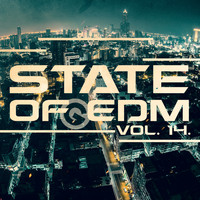 Rich Knochel - State Of EDM, Vol. 14.