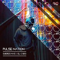 Pulse Nation Project - Quieres Más / El Caído