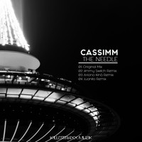 CASSIMM - The Needle