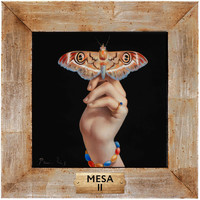 Mesa - II
