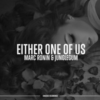 Marc Ronin, Junglegum - Either One of Us