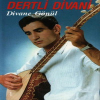 Dertli Divani - Divane Gönül