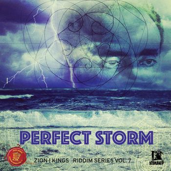 Various Artists - Perfect Storm