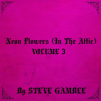Steve Gamble - Neon Flowers (In the Attic), Vol. 3