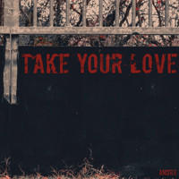 André - Take Your Love