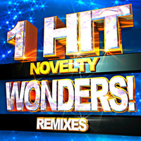 Remix Kings - Novelty 1 Hit Wonders! Remixes