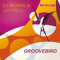 DJ Worris, Jay Frog - Groovebird