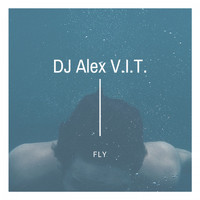 DJ Alex V.I.T. - Fly