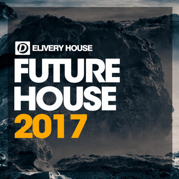 Various Artists - Future House 2017