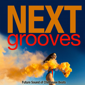 Various Artists - Next Groove (Future Sound of Chillhouse Beats)
