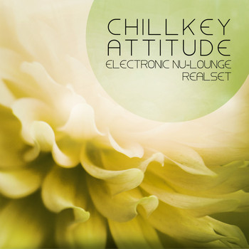 Various Artists - Chillkey Attitude (Electronic Nu-Lounge Realset)