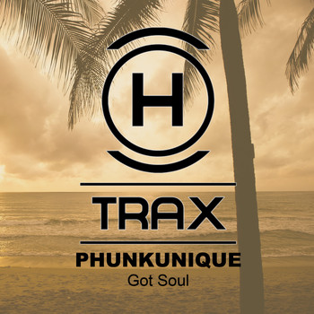 PhunkUnique - Got Soul