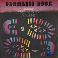 Pro Musica - Formatii Rock