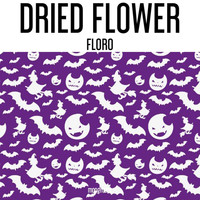 Dried Flower - Floro