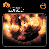 Cambrian Explosion - The Sun
