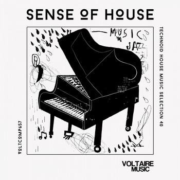 Various Artists - Sense of House, Vol. 40