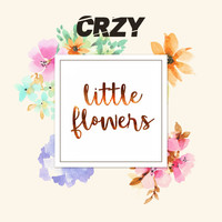 Crzy - Little Flowers