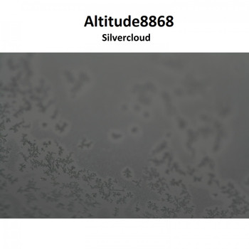Altitude8868 - Silvercloud