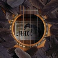 Mucc - Gerbera