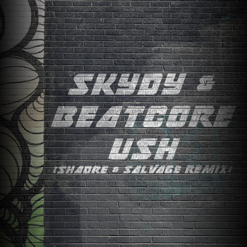 Skydy & Beatcore - Ush (Shadre & Salvage Remix)