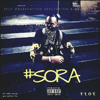 Floe - Sora (Self Observation Reflection & Assertion)