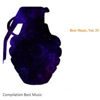 Shurik - Best Music, Vol. 29