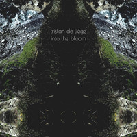 Tristan de Liège - Into the Bloom