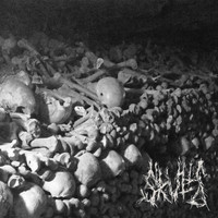 Skulls - Grinding Teeth