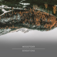 Woodtekr - Sensations