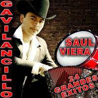 Saul Viera el Gavilancillo - 24 Grandes Exitos