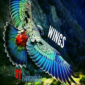 Flymanhitz - Wings