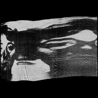 Waveless - Waveless