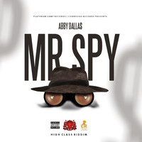Abby Dallas - Mr. Spy