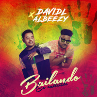 david L - Bailando Se Entiende (feat. Albeezy)
