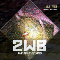 2WB - The Hole of Ams