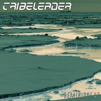 Tribeleader - Reminiscent